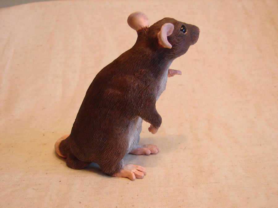 Rat sculpture agouti alt. view