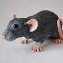 Dumbo Fancy Rat Sculpture Commission Complete