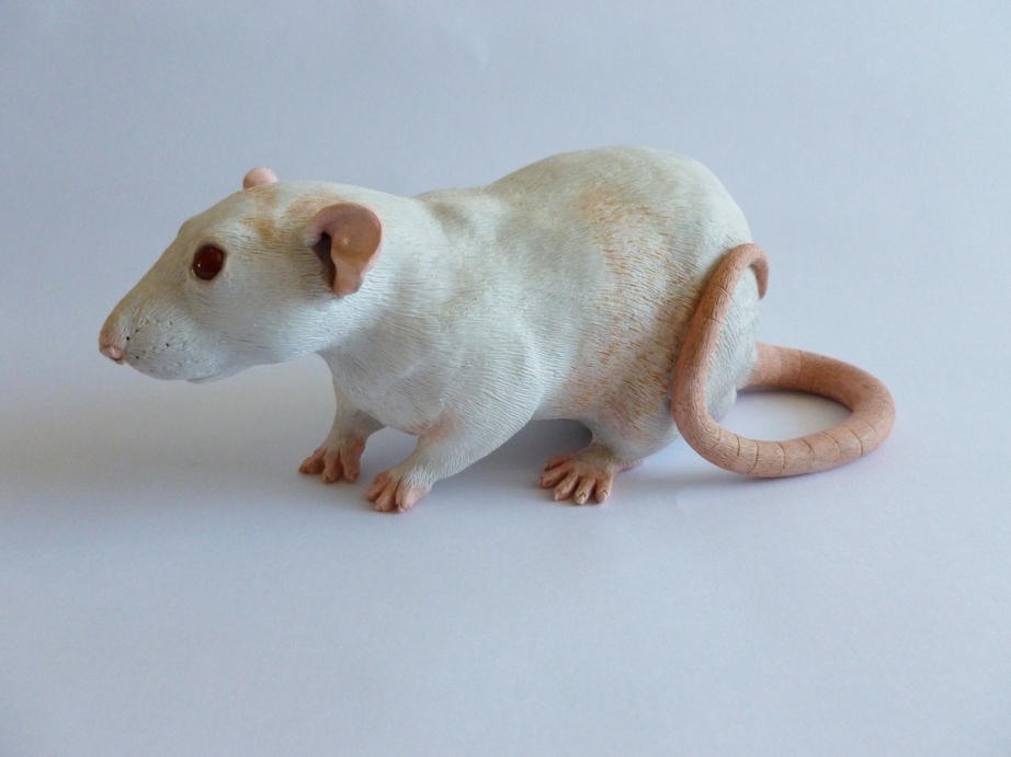 Dumbo Roan Rat Commission