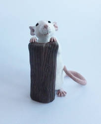 Toby the Roan Dumbo Rat Commission