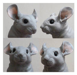 Chinchilla Sculpture WIP First Chinchilla