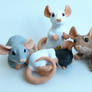 Mini Rats Dec 14 Batch #2