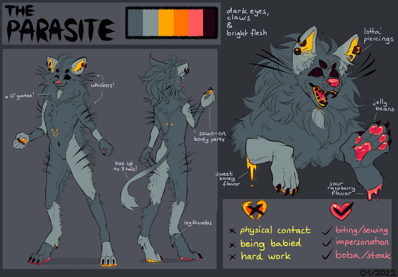 Furry Oc Reference Sheet By Wolfcakex3 On Deviantart