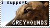 greyhound stamp