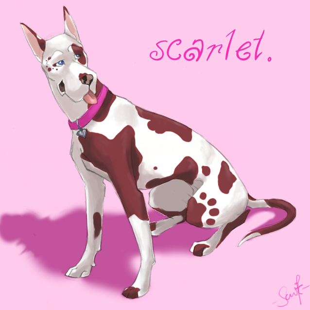 Scarlet - for blackwolfmagic