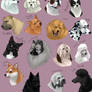 dog icons - NON-SPORTING GROUP