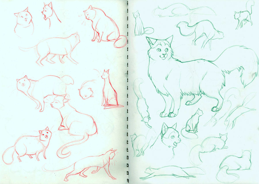 glad cat rag by swift-whippet on DeviantArt