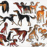 the saluki family stickers