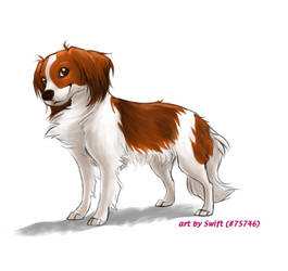 FP comm. 5 - Kooikerhondje