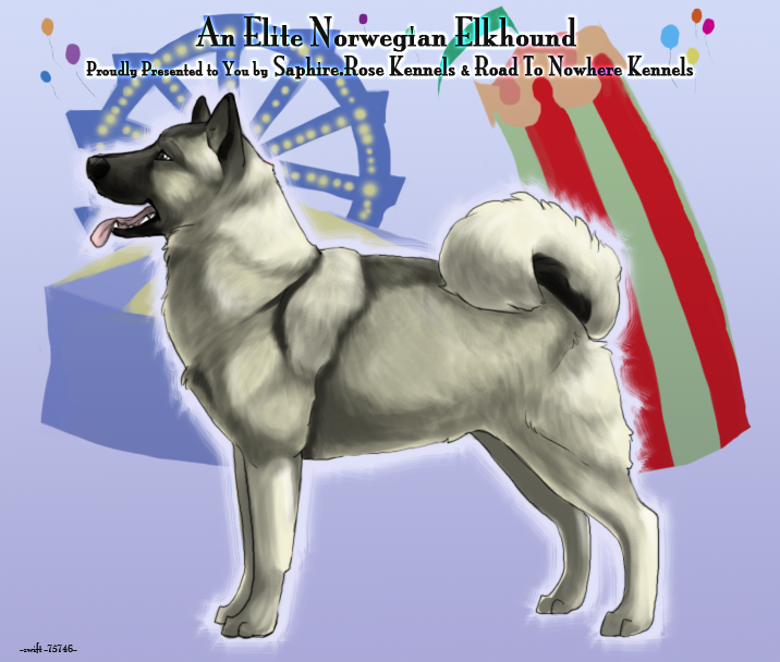 FP Comm - emz1:elkhound