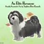 FP Comm - emz2:havanese