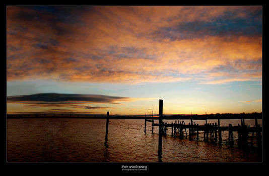 Port and The Evening