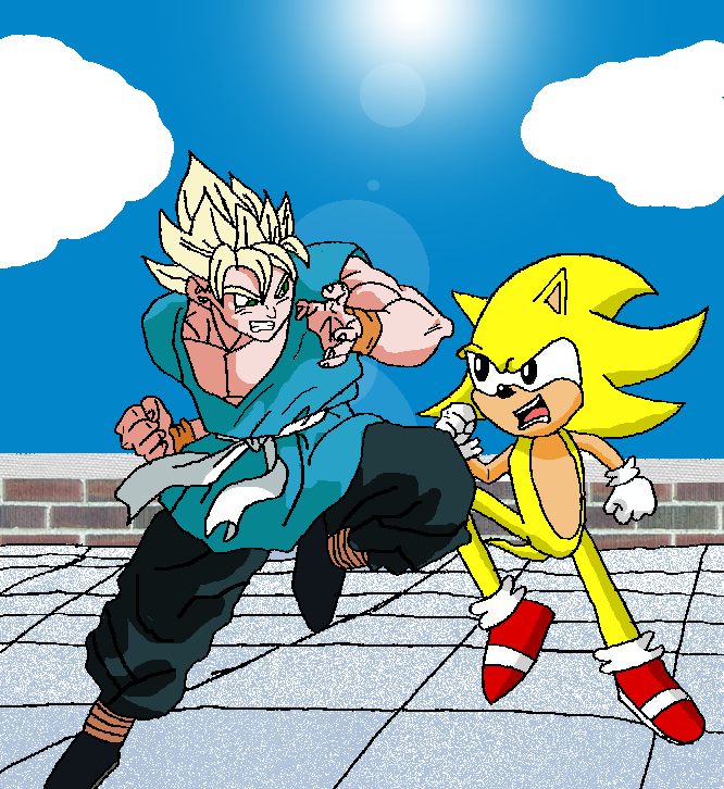 SS Goku vs Super Sonic