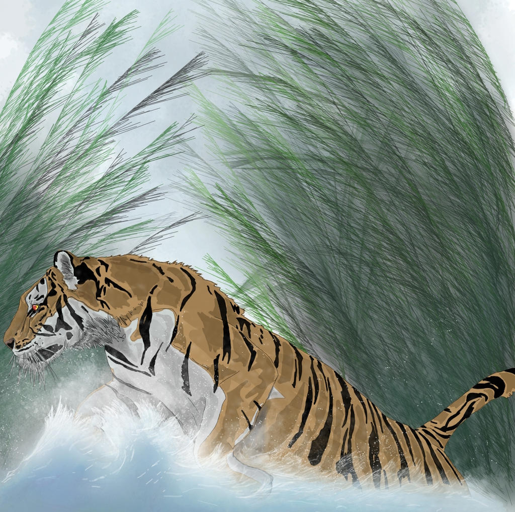 Tiger. by rlanelly on DeviantArt