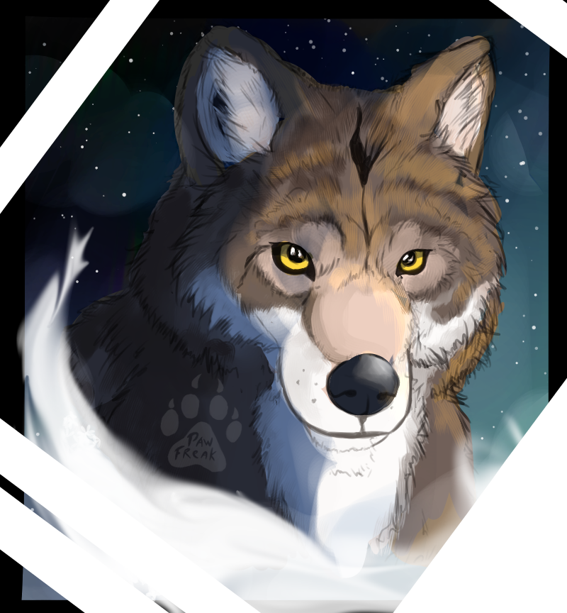 PawFreak Hobbyist, Digital Artist DeviantArt