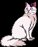 Warrior Cats^~, Wiki