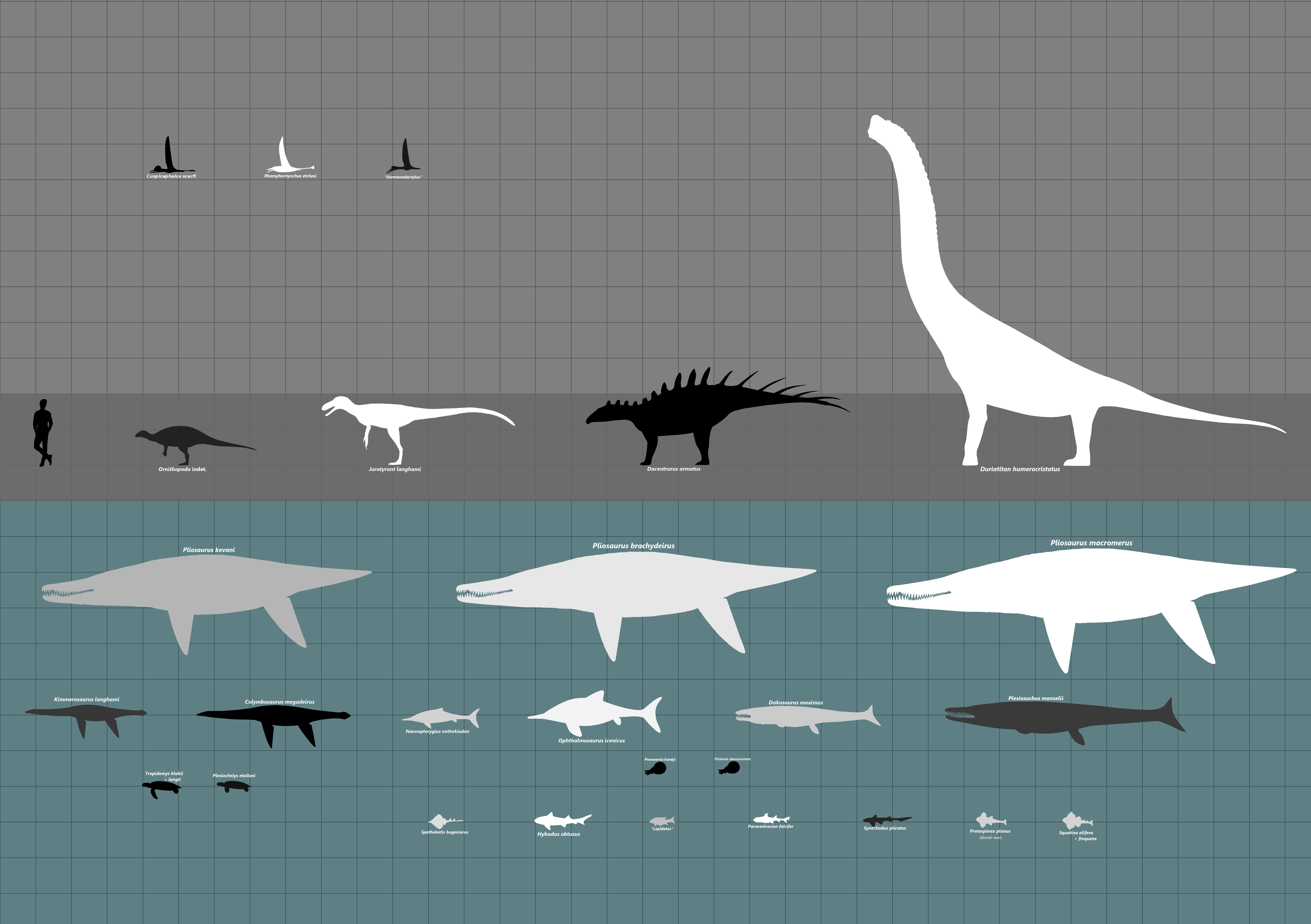 Jurassic Coast (Kimmeridge clay formation) 2.0