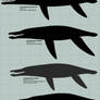 Pliosaurus scale: the biggest of the big (OUTDATED