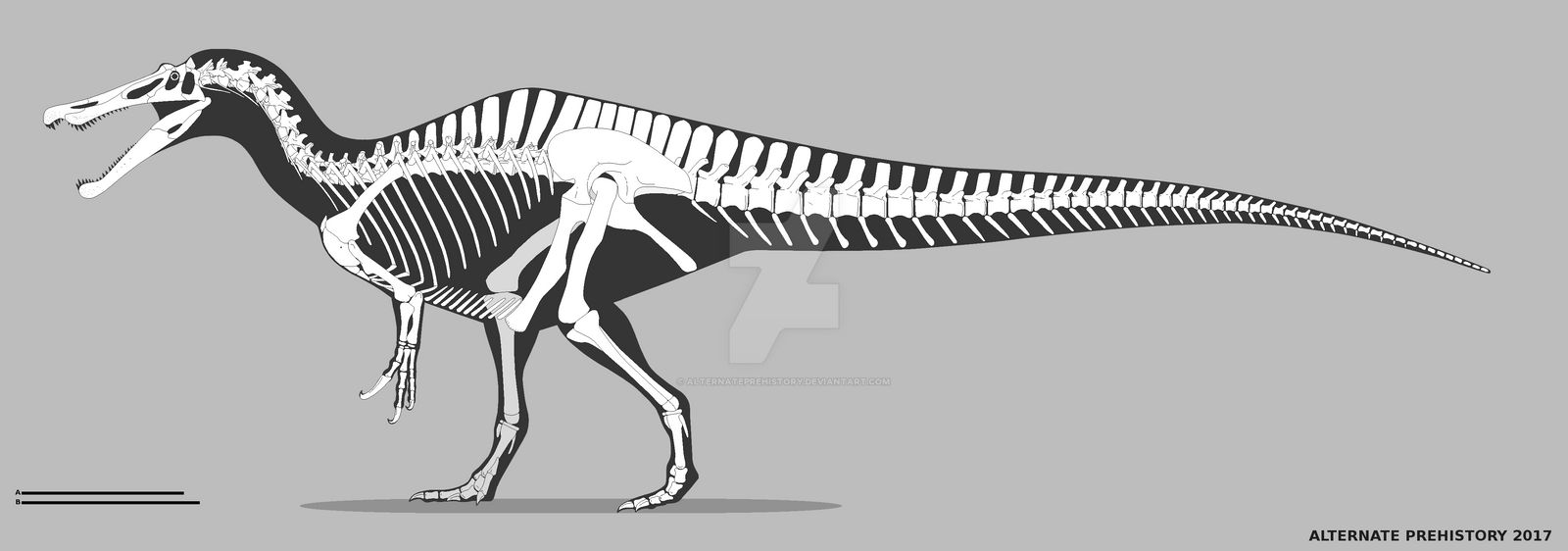 Baryonyx walkeri skeletal - old by AlternatePrehistory on DeviantArt
