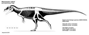 Mapusaurus roseae skeletal diagram. by Franoys on DeviantArt
