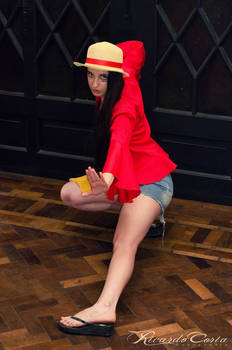 Fem Luffy 5 (fight pose)