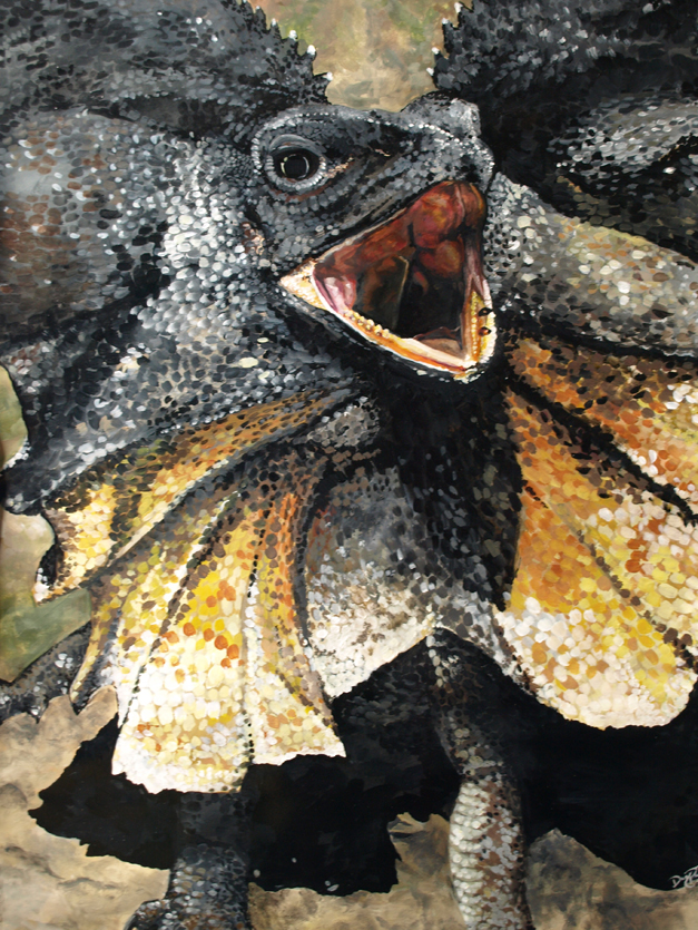 Frilled Lizard