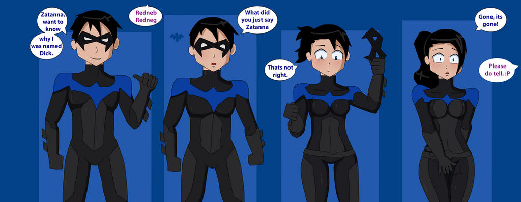 Nightwing Transformation Sequence (rule 63) by TheMaskofaFox on DeviantArt