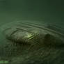 Baltic Anomaly updated