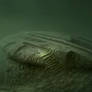 Baltic Anomaly 2012
