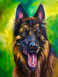 German Shepherd Portrait