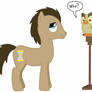 Dr Whooves and Owloysius