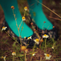 lady of the flowers.