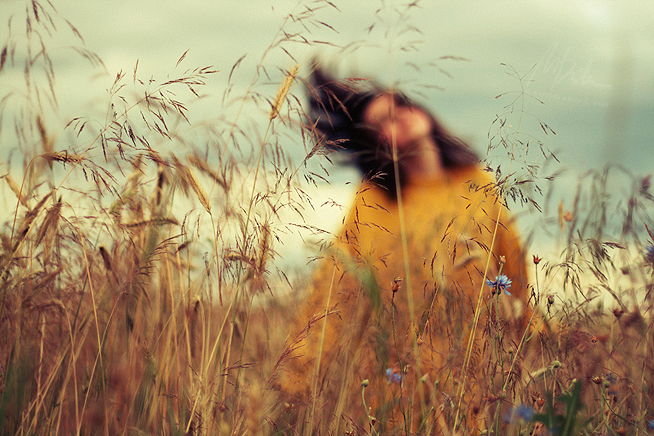 the summer.