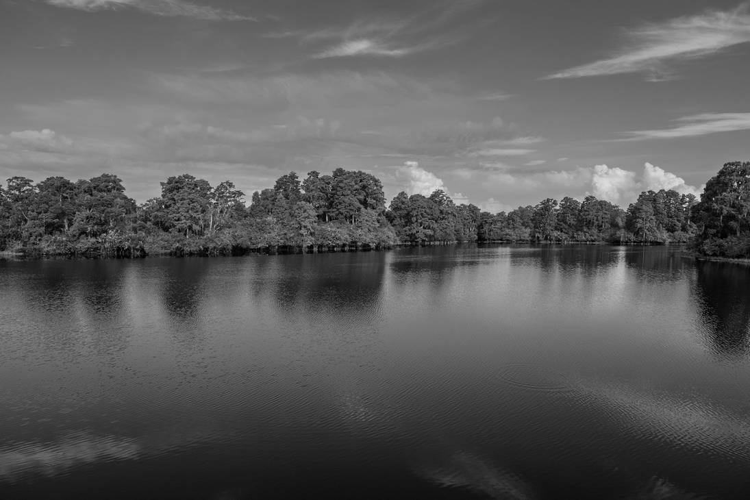View Of The River By ThomasPhotoWorks On DeviantArt view-of-the-river-by-thomasphotoworks-on-deviantart