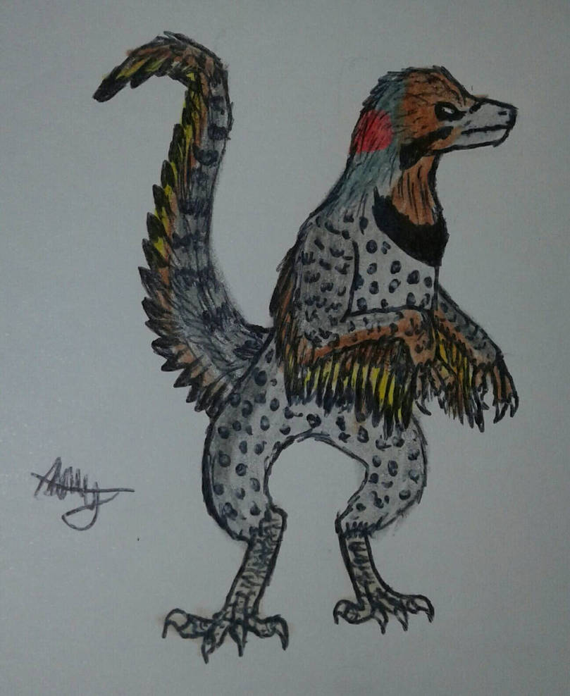 Flynt The Raptor northern flicker raptor by CaramelFeather on DeviantArt