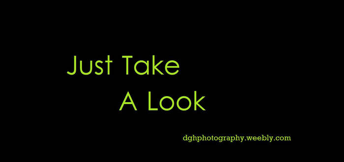 dghphotography.weebly.com