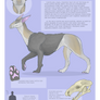 Caevyr Species Reference