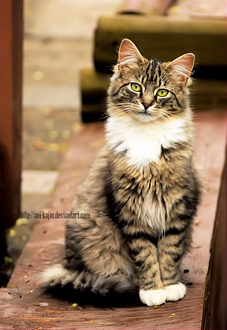 d505j6j-e857598b-7fb9-4b5c-b0b4-d9188c4e352a.png?token=eyJ0eXAiOiJKV1QiLCJhbGciOiJIUzI1NiJ9.eyJpc3MiOiJ1cm46YXBwOjdlMGQxODg5ODIyNjQzNzNhNWYwZDQxNWVhMGQyNmUwIiwic3ViIjoidXJuOmFwcDo3ZTBkMTg4OTgyMjY0MzczYTVmMGQ0MTVlYTBkMjZlMCIsImF1ZCI6WyJ1cm46c2VydmljZTpmaWxlLmRvd25sb2FkIl0sIm9iaiI6W1t7InBhdGgiOiIvZi8wMTU1OWIyZS00Y2U5LTRiMzUtYTQ5Zi03OGNiODBmNmFiYzAvZDUwNWo2ai1lODU3NTk4Yi03ZmI5LTRiNWMtYjBiNC1kOTE4OGM0ZTM1MmEucG5nIn1dXX0.rpUd7effIt3YUK3Wm905KRkp4fGv0ss-O0gypnyU_L0