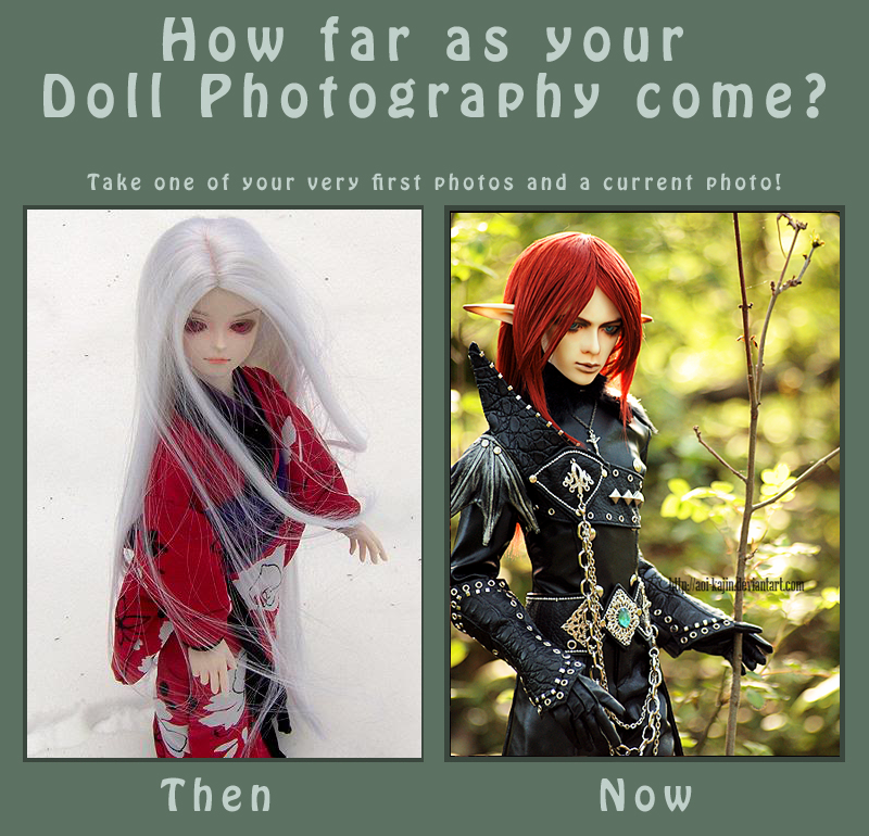 BJD Photography Meme