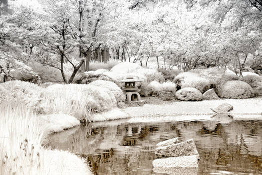 White Japanese Garden