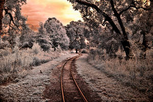 Setting Sun Across the Tracks