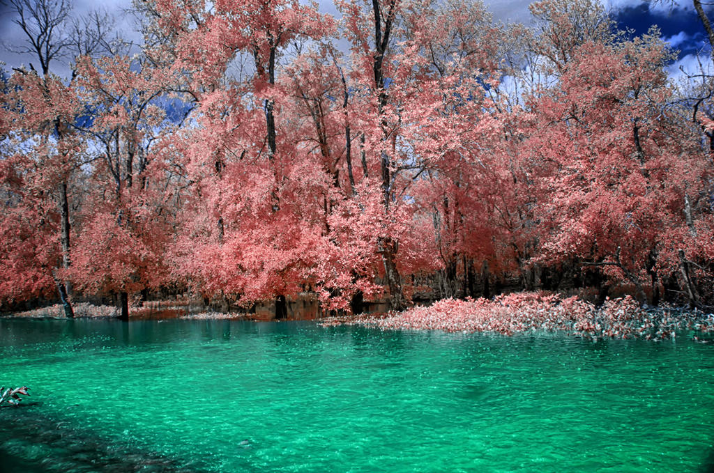 Fishing Pond