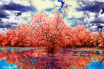 Rainbow Water by helios-spada