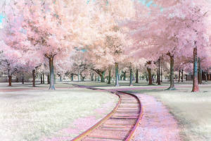 Floral Tracks