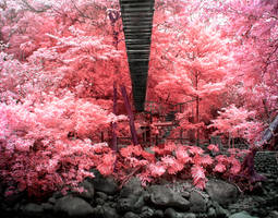 Bridge Over Stones