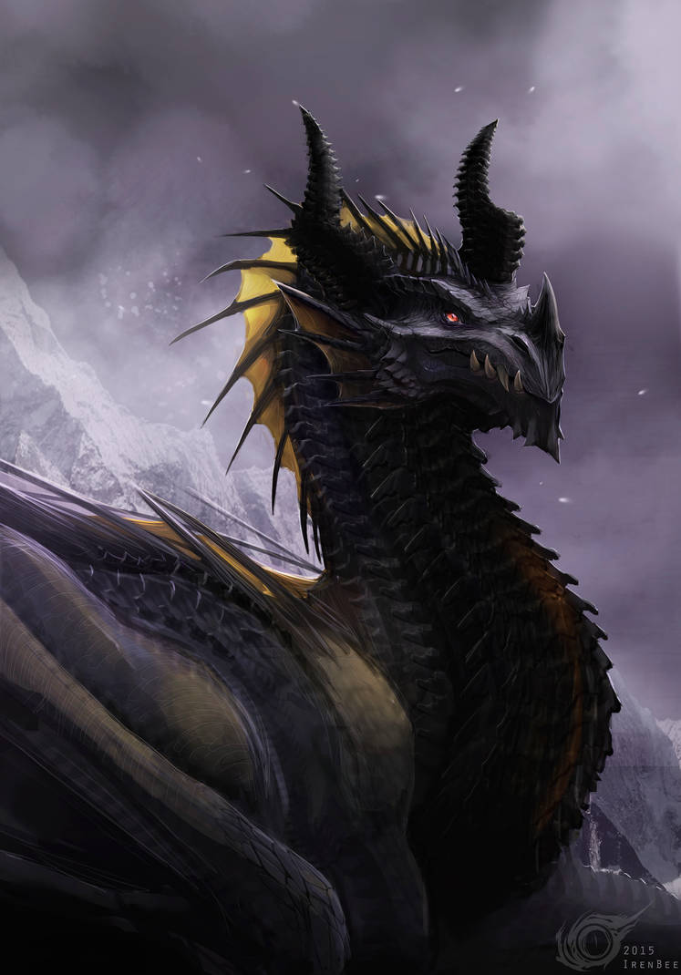 Дракон картинки. Иценский чёрный дракон. Дракон Блэк драгон. Драгон Найт черный дракон. Гебридский чёрный дракон.
