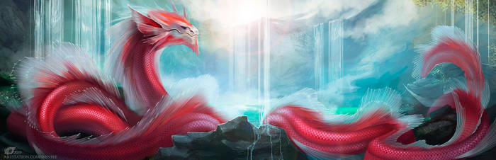 Red Dragon Koi