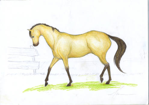 Dun Horse