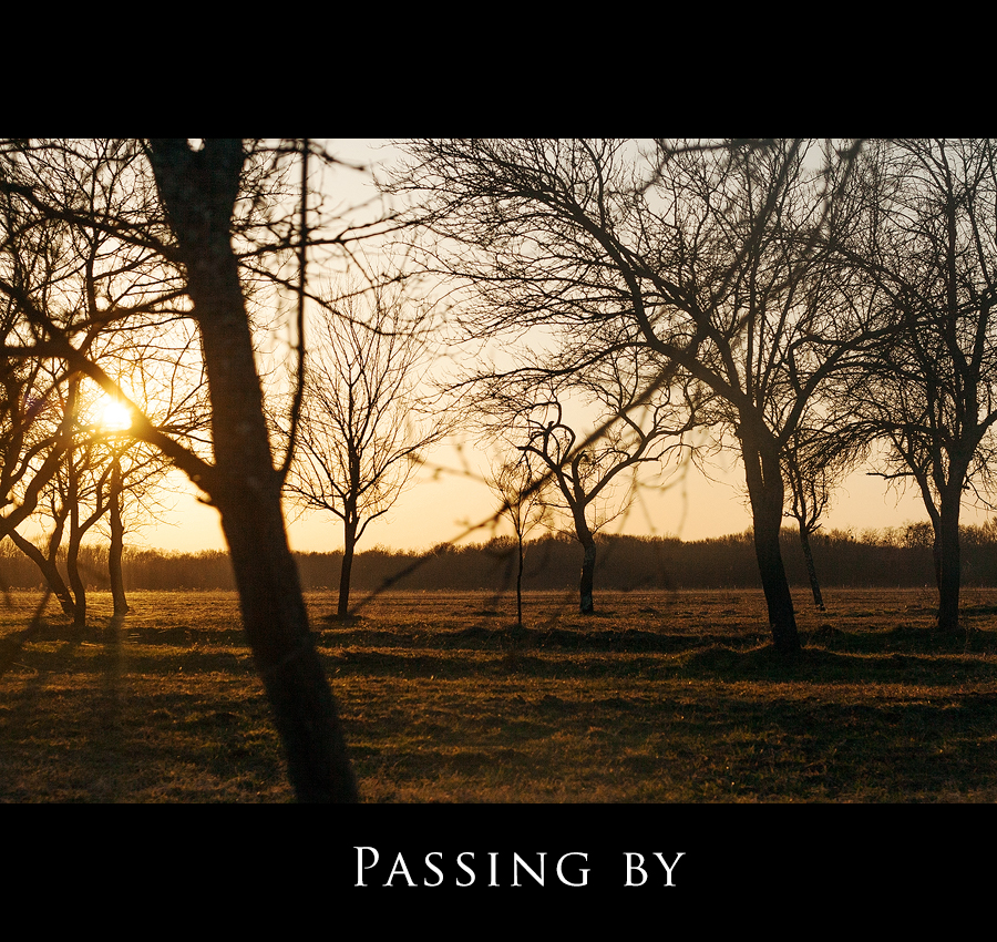 Passing By