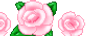 PinkRoses  (F2U)